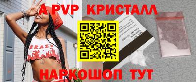 spice Кингисепп