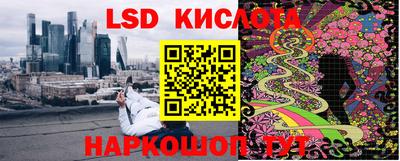 spice Кингисепп