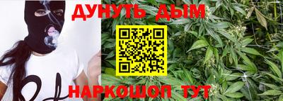 spice Кингисепп