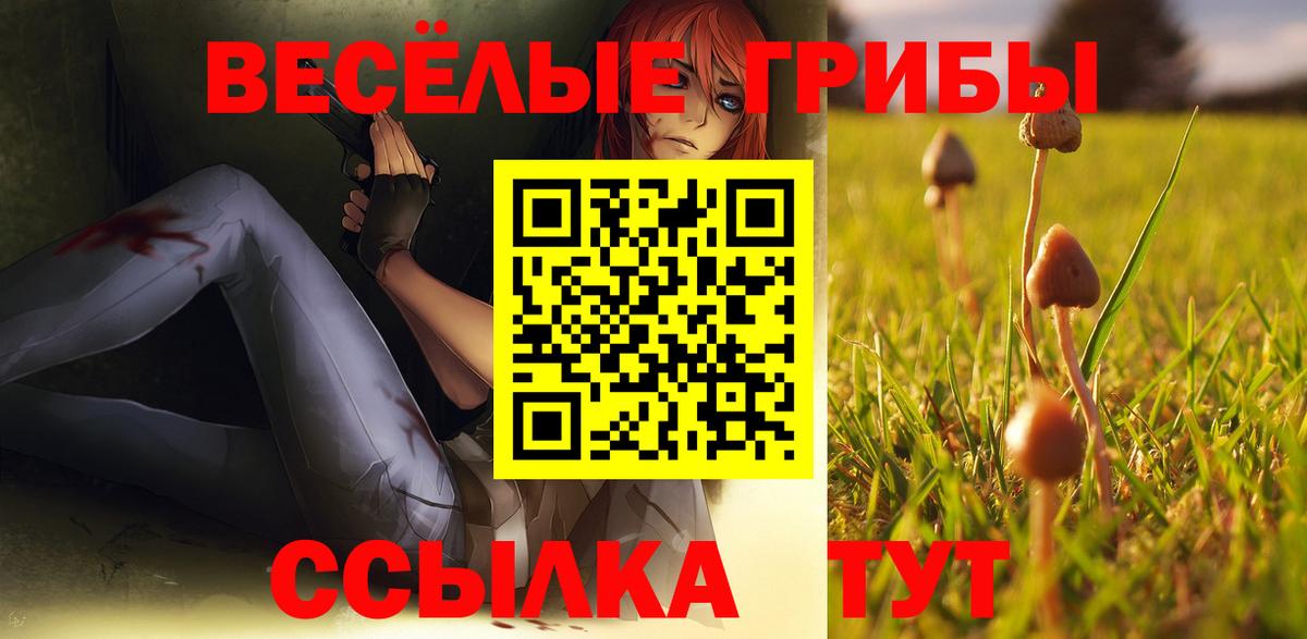 Галлюциногенные грибы Cubensis Красногорск
