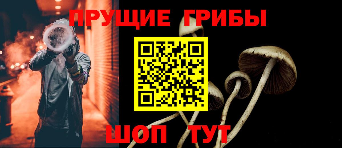 Красногорск  сколько стоит  Вход с VPN  Галлюциногенные грибы прущие грибы  Галлюциногенные грибы Magic Shrooms 